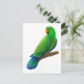 Männliche Eclectus Postkarte (Stehend Vorderseite)
