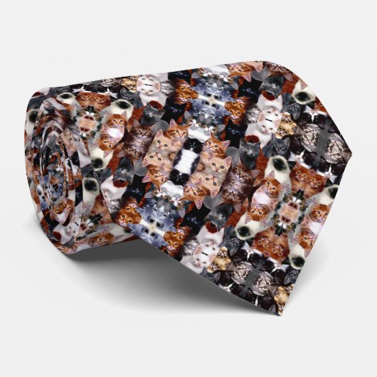 Männliche farbige Katzen Seidenschädel Krawatte (Gerollt)