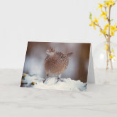 Männliche Fasan - Karte (Gelbe Blume)