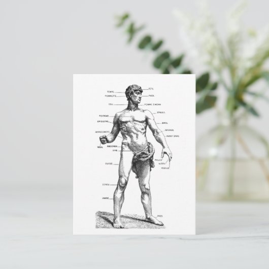 Männliche Front Postkarte (Stehend Vorderseite)