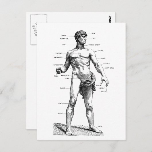 Männliche Front Postkarte (Vorne/Hinten)