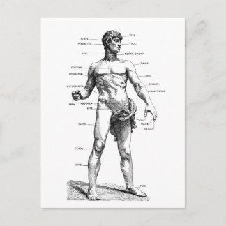 Männliche Front Postkarte