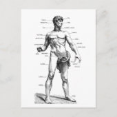 Männliche Front Postkarte (Vorderseite)