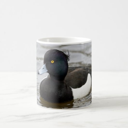 Männliche getuftete Ente Kaffeetasse (Mittel)