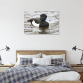 Männliche getuftete Ente Leinwanddruck (Insitu (Schlafzimmer))