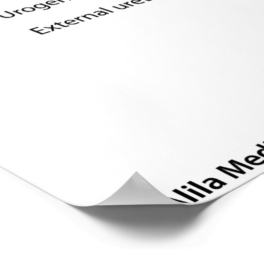 Männliche Harnorgane, beschriftet. Poster (Ecke)