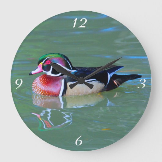 Männliche Holzente am Teich Große Wanduhr (Vorderseite)