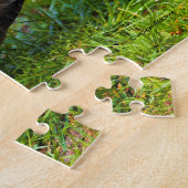 Männliche Holzente auf dem Gras Puzzle (Seite)