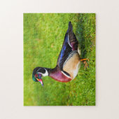 Männliche Holzente auf dem Gras Puzzle (Vertikal)