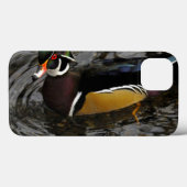 Männliche Holzente bei Crystal Springs Rhododendro Case-Mate iPhone Hülle (Rückseite (Horizontal))