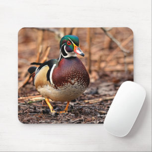 Männliche Holzente im Wald Mousepad