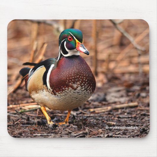 Männliche Holzente im Wald Mousepad (Vorne)