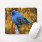 Männliche Indigo Bunting, Passerina cyanea Mousepad (Mit Mouse)