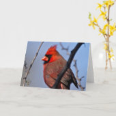 Männliche Kardinals-Winter-Baum-Lee Hiller Karte (Gelbe Blume)