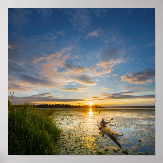 Männliche Kayaker paddling sea kayak on still wate Poster (Vorne)