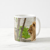 Männliche Löwenruhe im Gras Kaffeetasse (VorderseiteRechts)