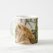 Männliche Löwenruhe im Gras Kaffeetasse (Vorderseite Links)