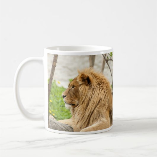 Männliche Löwenruhe im Gras Kaffeetasse (Links)