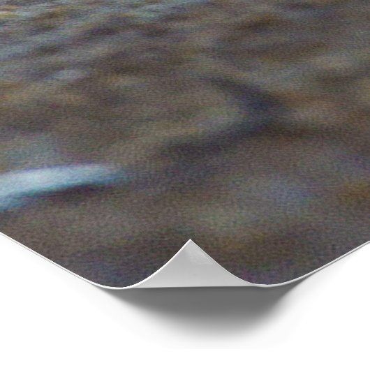 Männliche Löwenstich Panthera Leo Yoga Poster (Ecke)