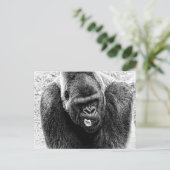 Männliche Lowland Silverback Gorilla, Schwarz-Weiß Postkarte (Stehend Vorderseite)