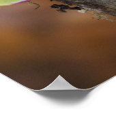 Männliche Luna Seidenmoth aus Nordamerika Poster (Ecke)