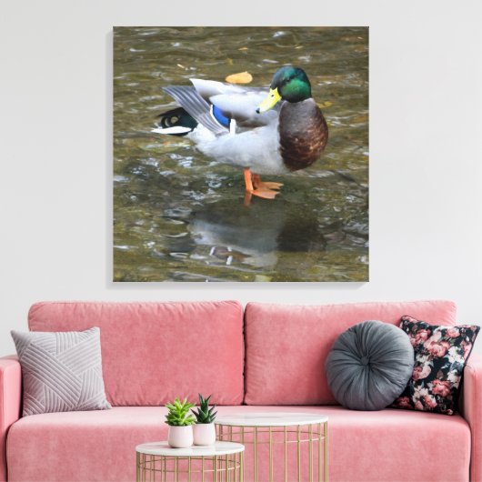 Männliche Mallard Duck in Creek Wrapped Canvas Pri Leinwanddruck (Insitu (Wohnzimmer))