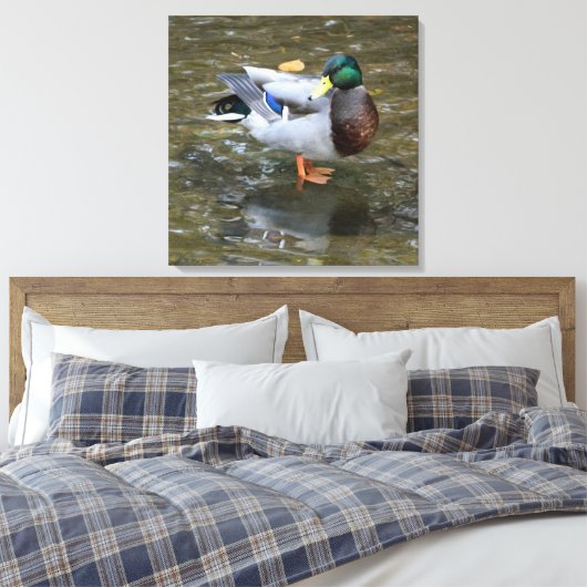 Männliche Mallard Duck in Creek Wrapped Canvas Pri Leinwanddruck (Insitu (Schlafzimmer))
