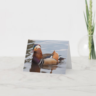 Männliche Mandarinen-Ente Notecard Karte