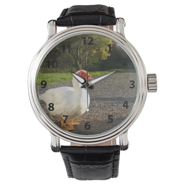 Männliche Muscovy Duck Watch Armbanduhr (Vorderseite)