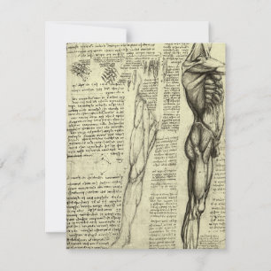 Männliche Muskeln der menschlichen Anatomie von Le