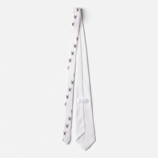 Männliche Pantropical springende Spinne Krawatte (Rückseite)