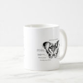 Männliche Pelvis-Details Kaffeetasse (VorderseiteRechts)