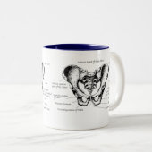Männliche Pelvis-Details Zweifarbige Tasse (VorderseiteRechts)