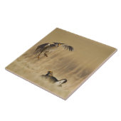 Männliche Prärie-Hühner am Lee im Loup-Landkreis Fliese (Seite)