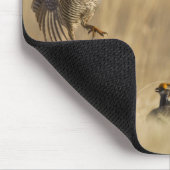 Männliche Prärie-Hühner am Lee im Loup-Landkreis Mousepad (Ecke)