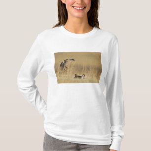 Männliche Prärie-Hühner am Lee im Loup-Landkreis T-Shirt