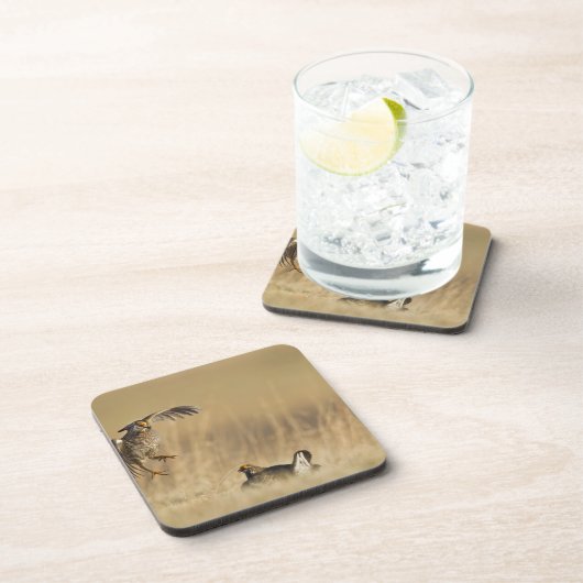 Männliche Prärie-Hühner am Lee im Loup-Landkreis Untersetzer (Rechte Seite)