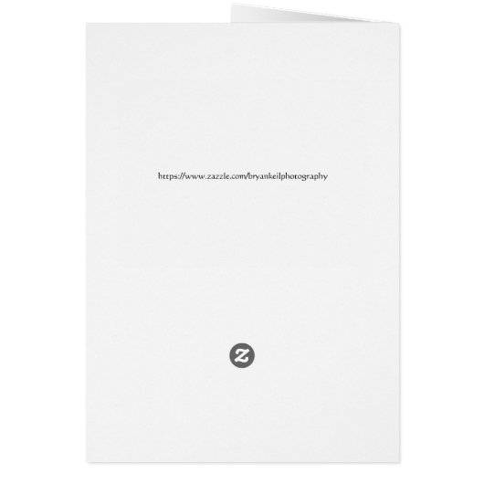 Männliche Quail, danke (Hinten)