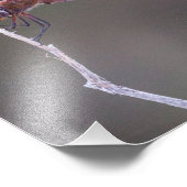 Männliche Red Saddlebags Dragonfly Fotodruck (Ecke)