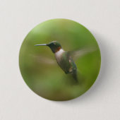 Männliche Ruby Throat Hummingbird Button (Vorderseite)