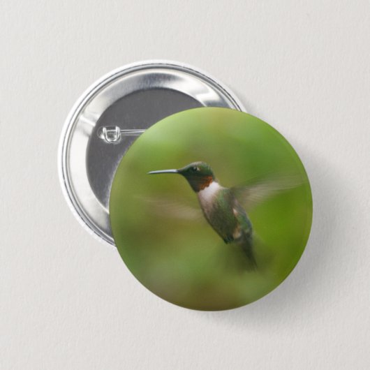 Männliche Ruby Throat Hummingbird Button (Vorne & Hinten)