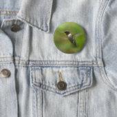 Männliche Ruby Throat Hummingbird Button (Beispiel)
