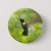 Männliche Ruby Throat Hummingbird Button (Vorderseite)