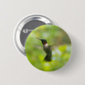 Männliche Ruby Throat Hummingbird Button (Vorne & Hinten)