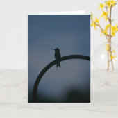 Männliche Ruby Throat Hummingbird Card Karte (Gelbe Blume)