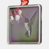 Männliche Ruby throated Hummingbird, Archilochus Silbernes Ornament (Links)