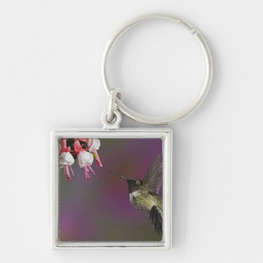 Männliche Ruby thropogene Hummingbird Schlüsselanhänger (Vorne)