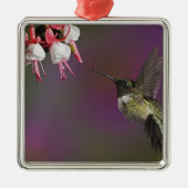 Männliche Ruby thropogene Hummingbird Silbernes Ornament (Vorne)