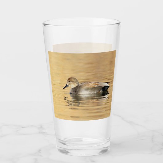 Männliche Schnatterente Glas (Vorderseite)