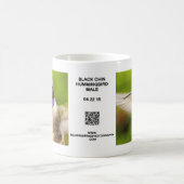 Männliche schwarze Chin-Kolibri-Tasse Kaffeetasse (Mittel)